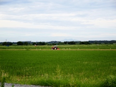 利根川沿い4