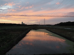 新大利根橋付近