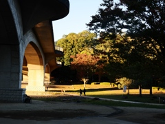 21世紀の森と広場3