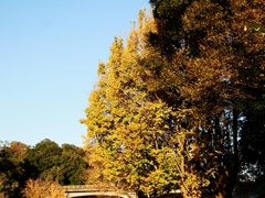 21世紀の森と広場1