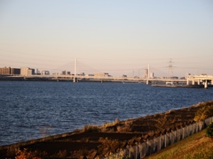 荒川河口橋など4