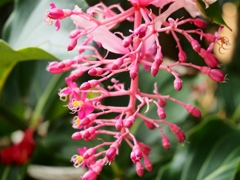市川動植物園37