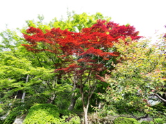 浄妙寺3