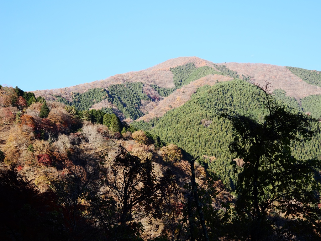 奥多摩から青梅まで1