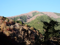 奥多摩から青梅まで1