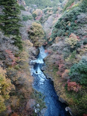 奥多摩から青梅まで4