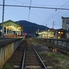 秩父の野11