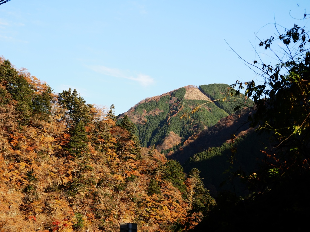 奥多摩から青梅まで2