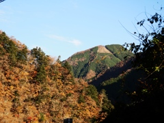 奥多摩から青梅まで2