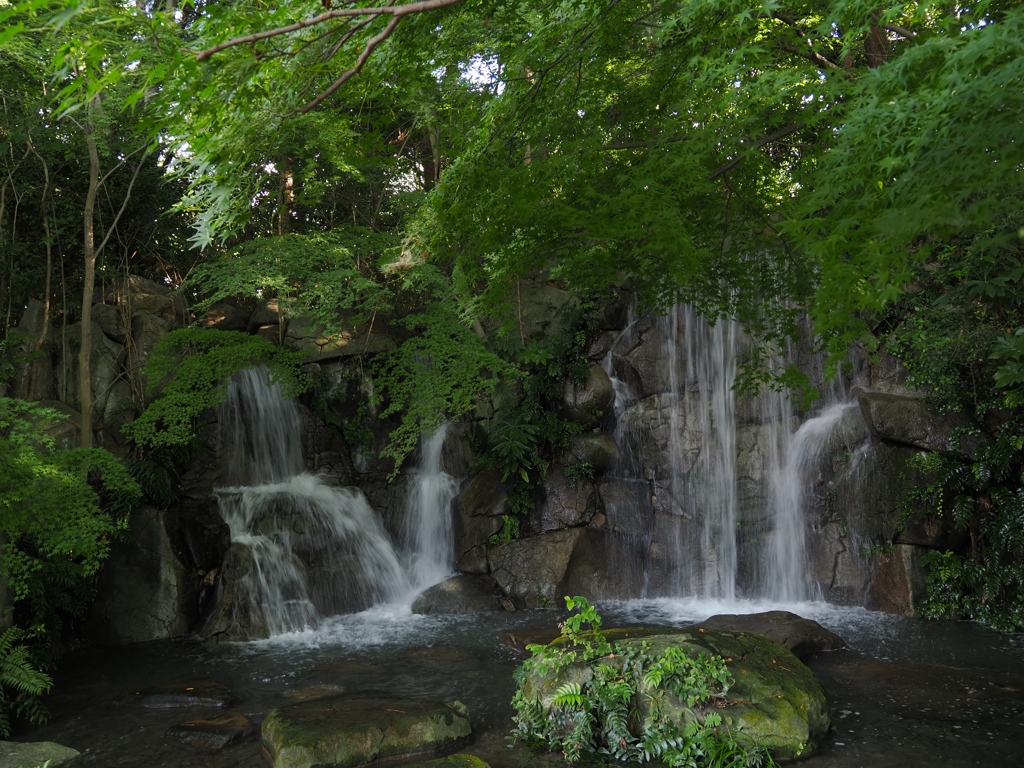 府中郷土の森公園41