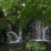 府中郷土の森公園41