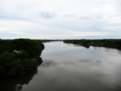 利根川沿い6