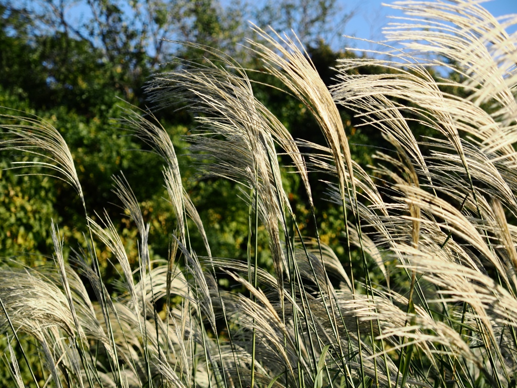 葛西臨海公園14