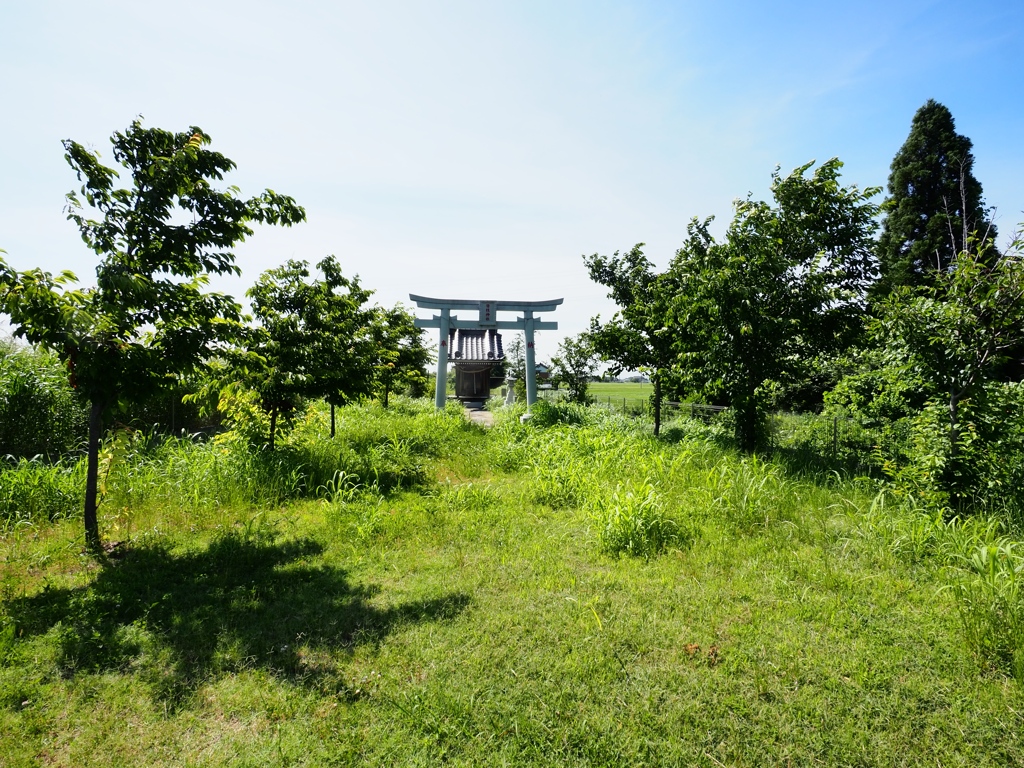小貝川と常総の野4