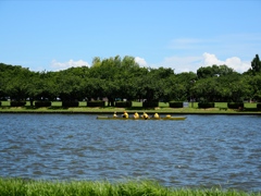 水元公園のボート1