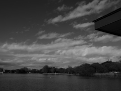 水元公園のモノクロ5