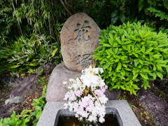 浄妙寺1