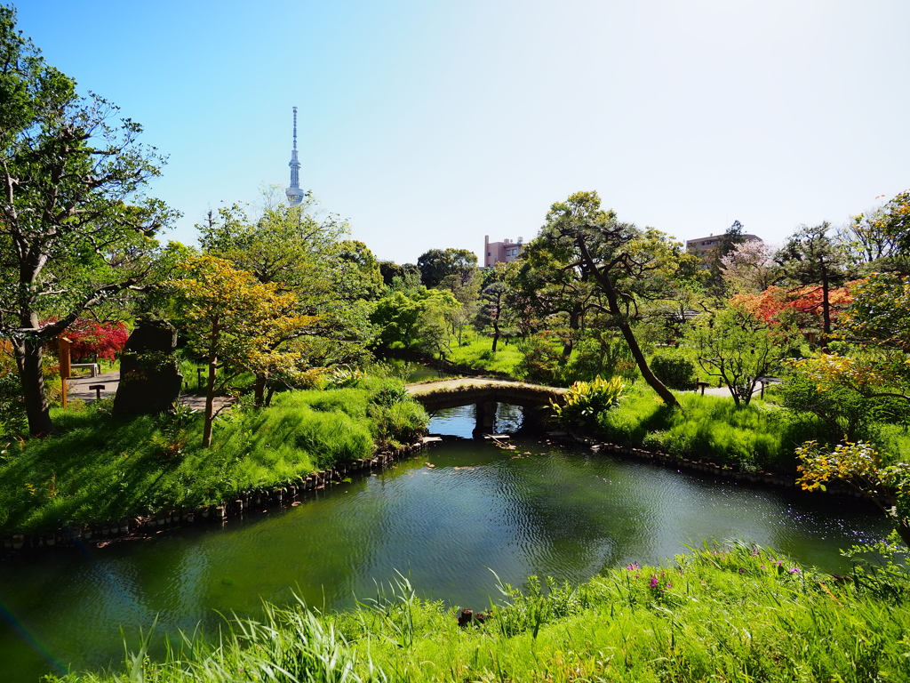 向島百花園6