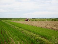 利根川沿い5