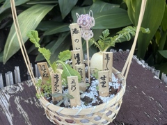 冬ぼたんiPhone10