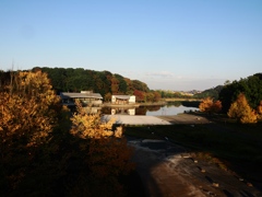 21世紀の森と広場4