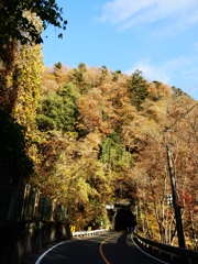 奥多摩から青梅まで3