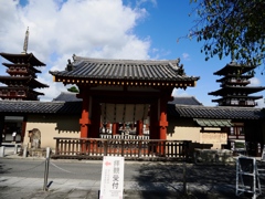 薬師寺3