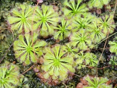 市川動植物園31