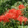 府中郷土の森公園9