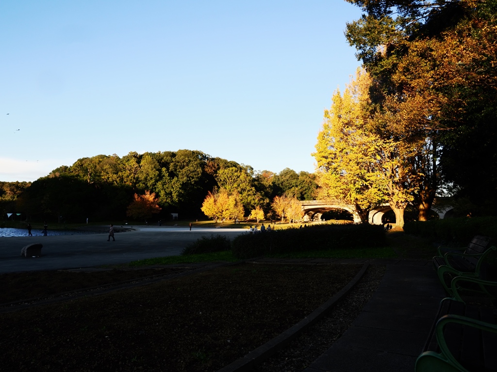 21世紀の森と広場2