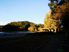 21世紀の森と広場2