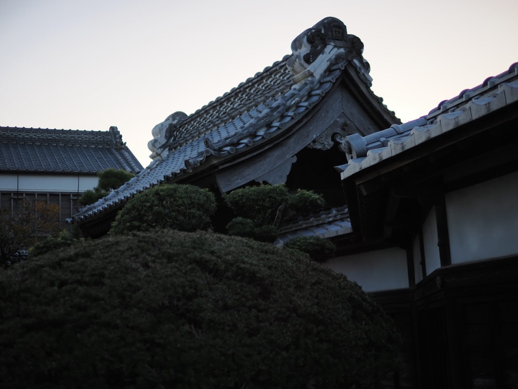 布佐と利根川の星景5