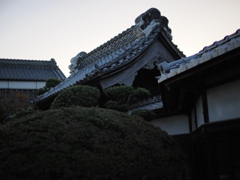 布佐と利根川の星景5