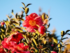 佐倉からの帰りスナップ5