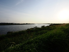 利根川沿岸7