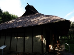 府中郷土の森公園43