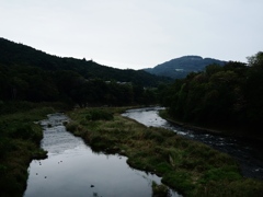 秩父の野10