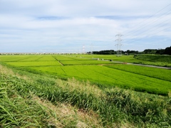利根運河2