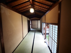 旧岩崎邸庭園14