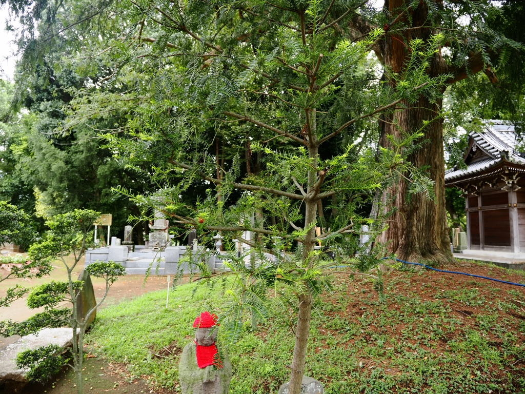 東源寺9