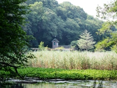 市川動植物園19