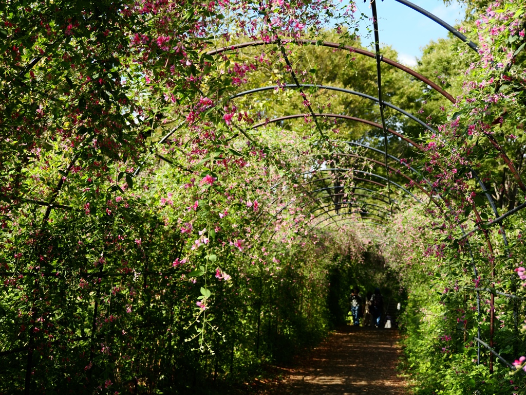 府中郷土の森公園31