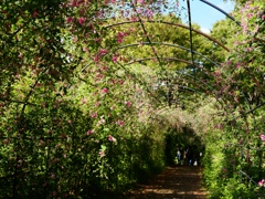 府中郷土の森公園31