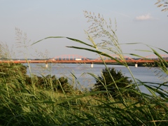 利根川沿岸4