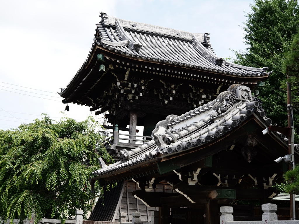 柴又5
