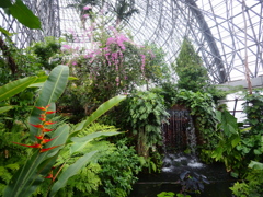 熱帯植物園1