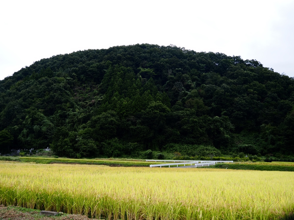 秩父の野9
