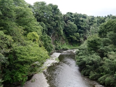 秩父の野8