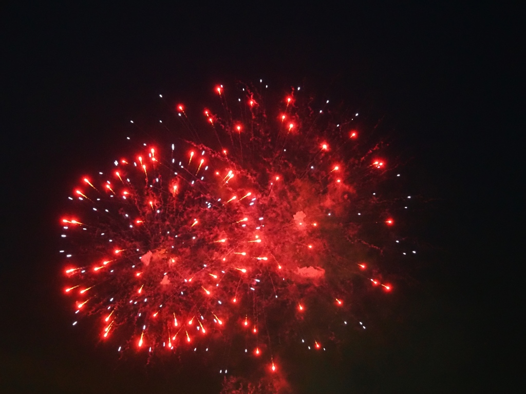 葛飾花火大会16