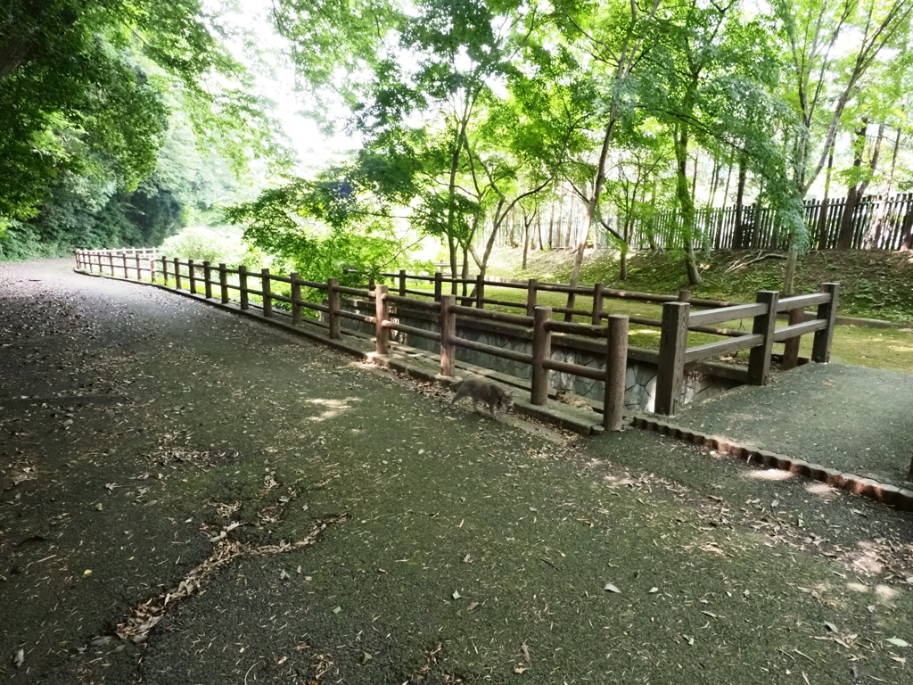 市川動植物園1